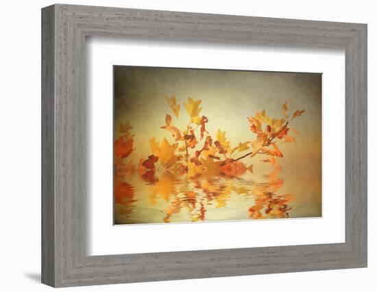 Rusty Fall Stripe-Philippe Sainte-Laudy-Framed Photographic Print