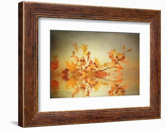 Rusty Fall Stripe-Philippe Sainte-Laudy-Framed Photographic Print