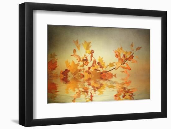 Rusty Fall Stripe-Philippe Sainte-Laudy-Framed Photographic Print