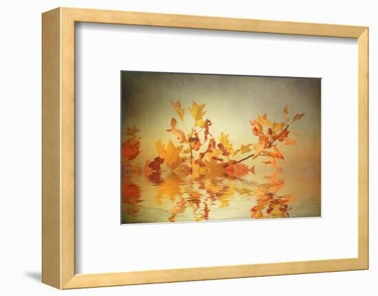 Rusty Fall Stripe-Philippe Sainte-Laudy-Framed Photographic Print