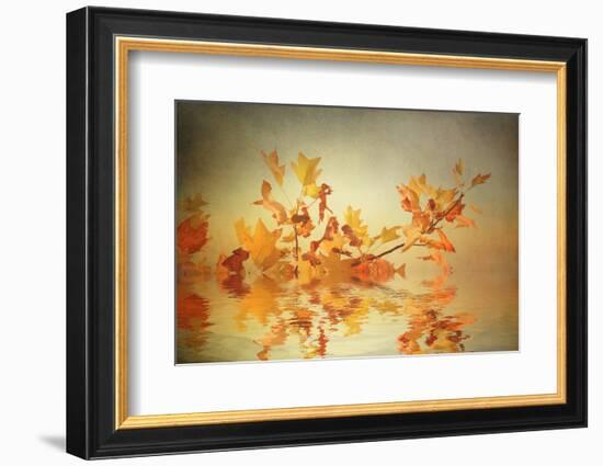 Rusty Fall Stripe-Philippe Sainte-Laudy-Framed Photographic Print