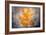 Rusty Fall-Philippe Sainte-Laudy-Framed Giclee Print