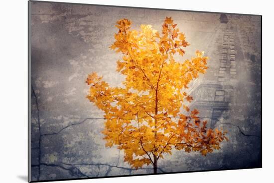 Rusty Fall-Philippe Sainte-Laudy-Mounted Giclee Print