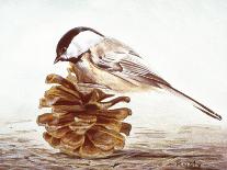 Two Birds on Branch-Rusty Frentner-Framed Premier Image Canvas