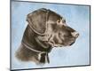 Giclee Print