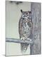 Giclee Print