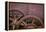 Rusty Gears II-Kathy Mahan-Framed Premier Image Canvas