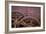 Rusty Gears II-Kathy Mahan-Framed Photographic Print