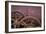 Rusty Gears II-Kathy Mahan-Framed Photographic Print