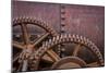 Rusty Gears II-Kathy Mahan-Mounted Photographic Print