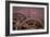 Rusty Gears II-Kathy Mahan-Framed Photographic Print