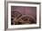 Rusty Gears II-Kathy Mahan-Framed Photographic Print