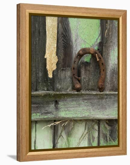 Rusty Horseshoe on Old Fence, Montana, USA-Nancy Rotenberg-Framed Premier Image Canvas