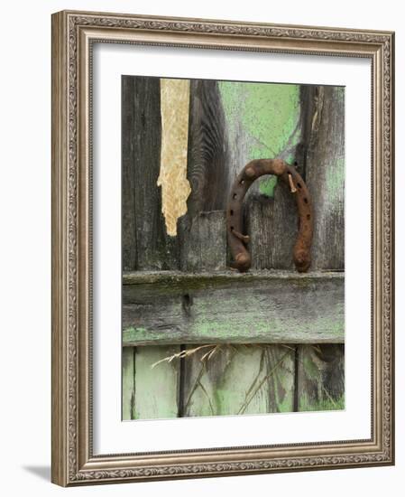 Rusty Horseshoe on Old Fence, Montana, USA-Nancy Rotenberg-Framed Photographic Print