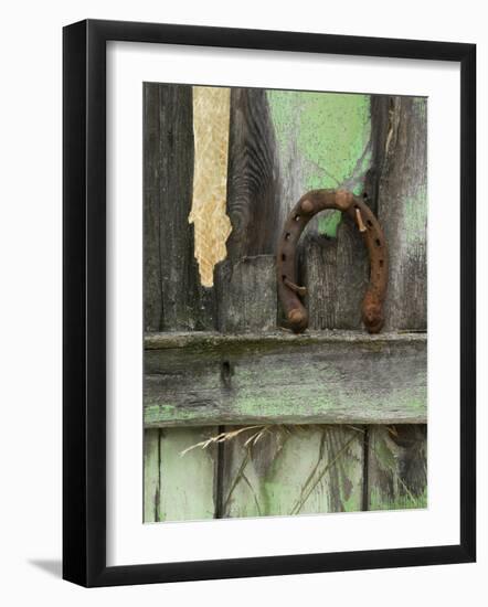 Rusty Horseshoe on Old Fence, Montana, USA-Nancy Rotenberg-Framed Photographic Print