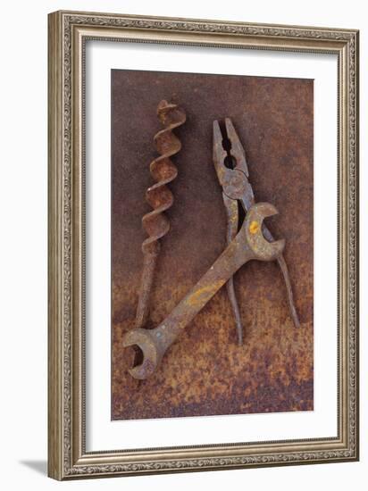 Rusty Old Double-headed Spanner Lying Next To Large Drill Bit And Rusty Pliers On Rusty Metal Sheet-Den Reader-Framed Photographic Print