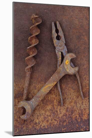 Rusty Old Double-headed Spanner Lying Next To Large Drill Bit And Rusty Pliers On Rusty Metal Sheet-Den Reader-Mounted Photographic Print