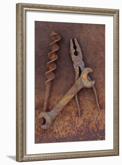 Rusty Old Double-headed Spanner Lying Next To Large Drill Bit And Rusty Pliers On Rusty Metal Sheet-Den Reader-Framed Photographic Print