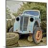 Rusty Old Truck-Salvatore Elia-Mounted Photographic Print