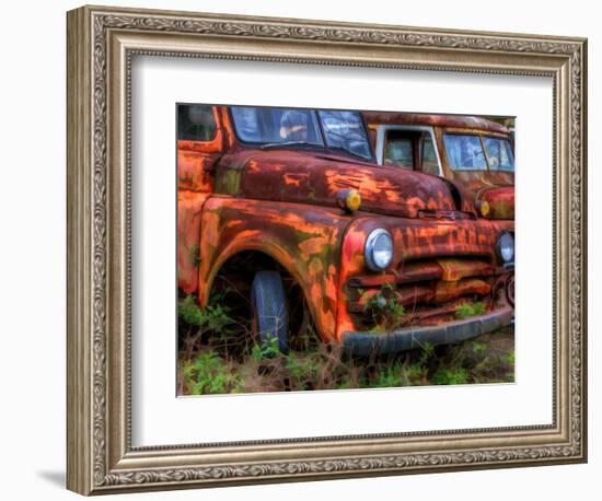 Rusty Trucks at Old Car City, Georgia, USA-Joanne Wells-Framed Photographic Print