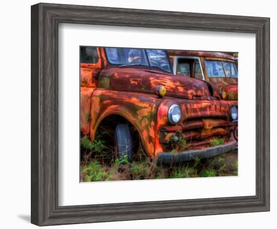 Rusty Trucks at Old Car City, Georgia, USA-Joanne Wells-Framed Photographic Print