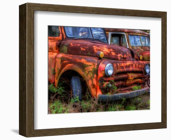 Rusty Trucks at Old Car City, Georgia, USA-Joanne Wells-Framed Photographic Print