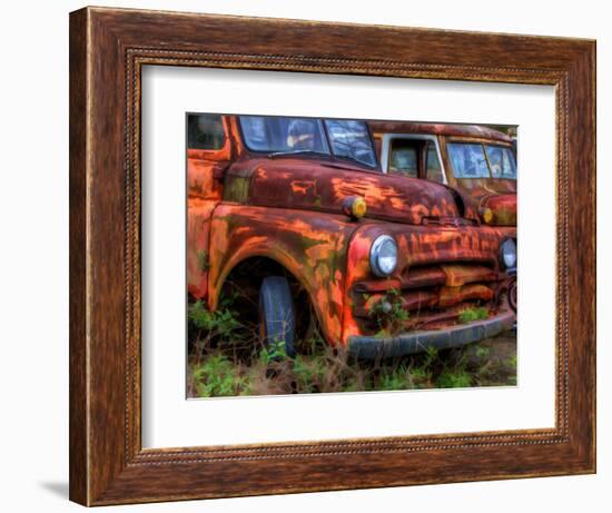 Rusty Trucks at Old Car City, Georgia, USA-Joanne Wells-Framed Photographic Print