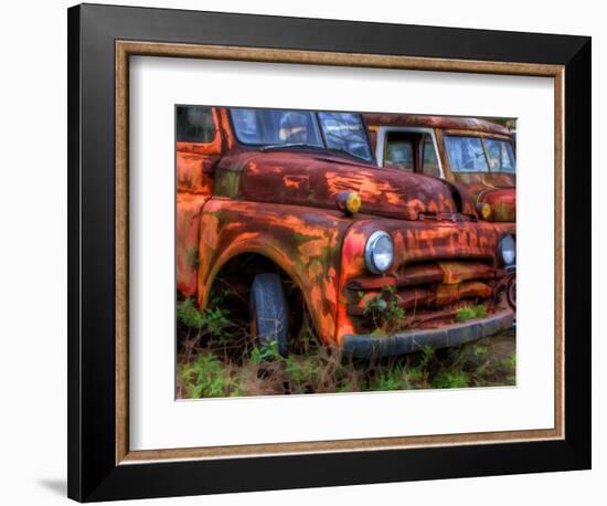 Rusty Trucks at Old Car City, Georgia, USA-Joanne Wells-Framed Photographic Print