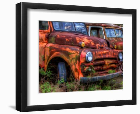 Rusty Trucks at Old Car City, Georgia, USA-Joanne Wells-Framed Photographic Print