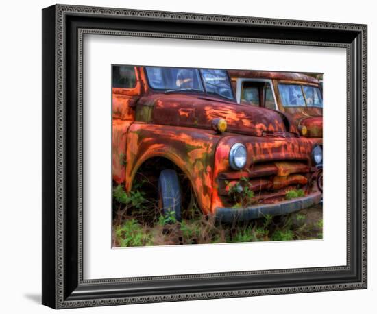 Rusty Trucks at Old Car City, Georgia, USA-Joanne Wells-Framed Photographic Print