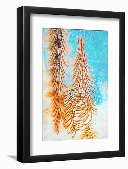Rusty Winter-Ursula Abresch-Framed Photographic Print