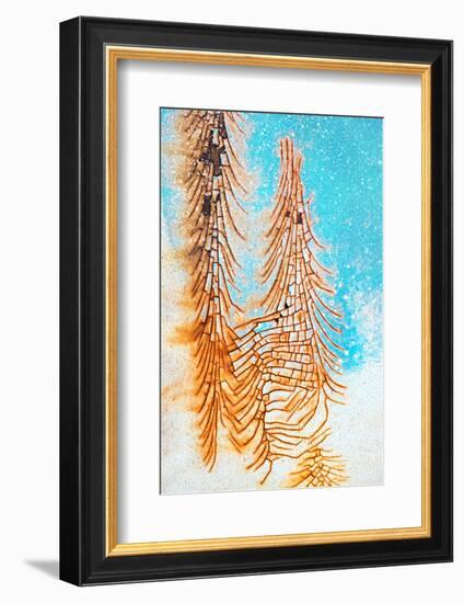 Rusty Winter-Ursula Abresch-Framed Photographic Print