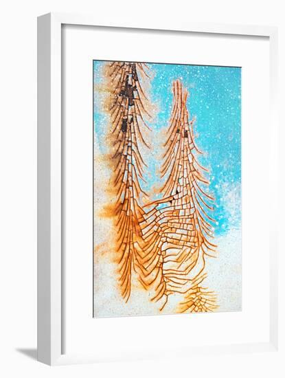 Rusty Winter-Ursula Abresch-Framed Photographic Print