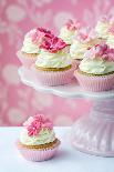 Wedding Cupcake-Ruth Black-Photographic Print