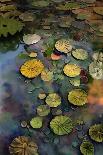 Lily Pads-Ruth Day-Giclee Print