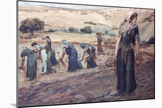 Ruth Gleaning-James Tissot-Mounted Giclee Print