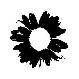 Black And White Abstract Daisy-Ruth Palmer-Art Print