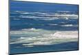 Premium Photographic Print