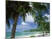Premium Photographic Print