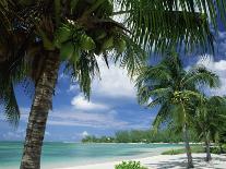 Palms on Shore, Cayman Kai Near Rum Point, Grand Cayman, Cayman Islands, West Indies-Ruth Tomlinson-Photographic Print