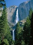Upper and Lower Yosemite Falls, Swollen by Summer Snowmelt, Yosemite National Park, California-Ruth Tomlinson-Photographic Print