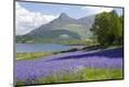 Premium Photographic Print