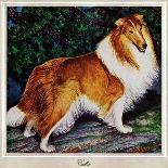 "Collie," September 11, 1943-Rutherford Boyd-Giclee Print