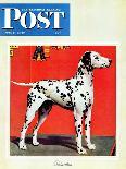 "Dalmatians," Saturday Evening Post Cover, July 17, 1943-Rutherford Boyd-Mounted Giclee Print