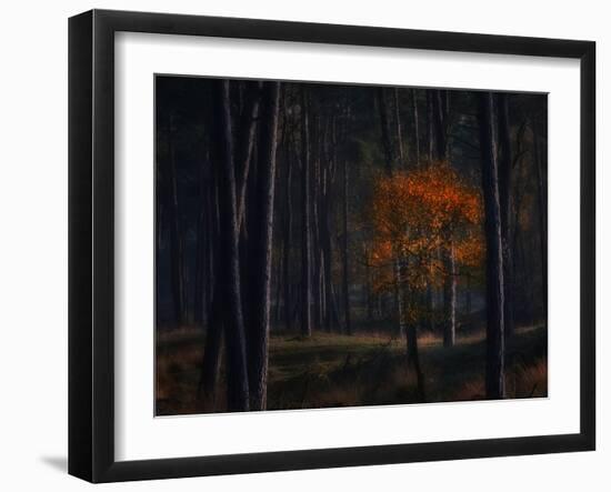 Photographic Print, , large