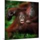 Premium Photographic Print