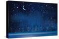 Stretched Canvas Print
