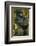 Rwanda. A silverback mountain gorilla at Volcanoes National Park.-Ralph H. Bendjebar-Framed Photographic Print