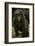 Rwanda. Juvenile mountain gorilla at Volcanoes National Park.-Ralph H. Bendjebar-Framed Photographic Print