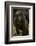 Rwanda. Juvenile mountain gorilla at Volcanoes National Park.-Ralph H. Bendjebar-Framed Photographic Print